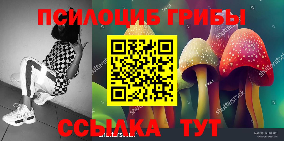 Псилоцибиновые грибы Psilocybe  Вход с VPN  Галлюциногенные грибы прущие грибы  Екатеринбург 