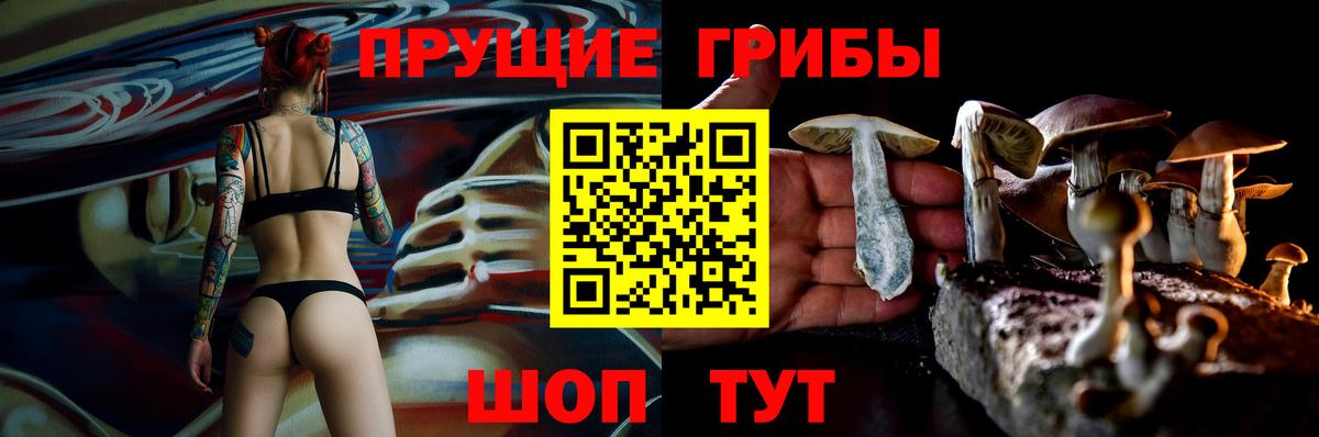 Псилоцибиновые грибы Cubensis Екатеринбург