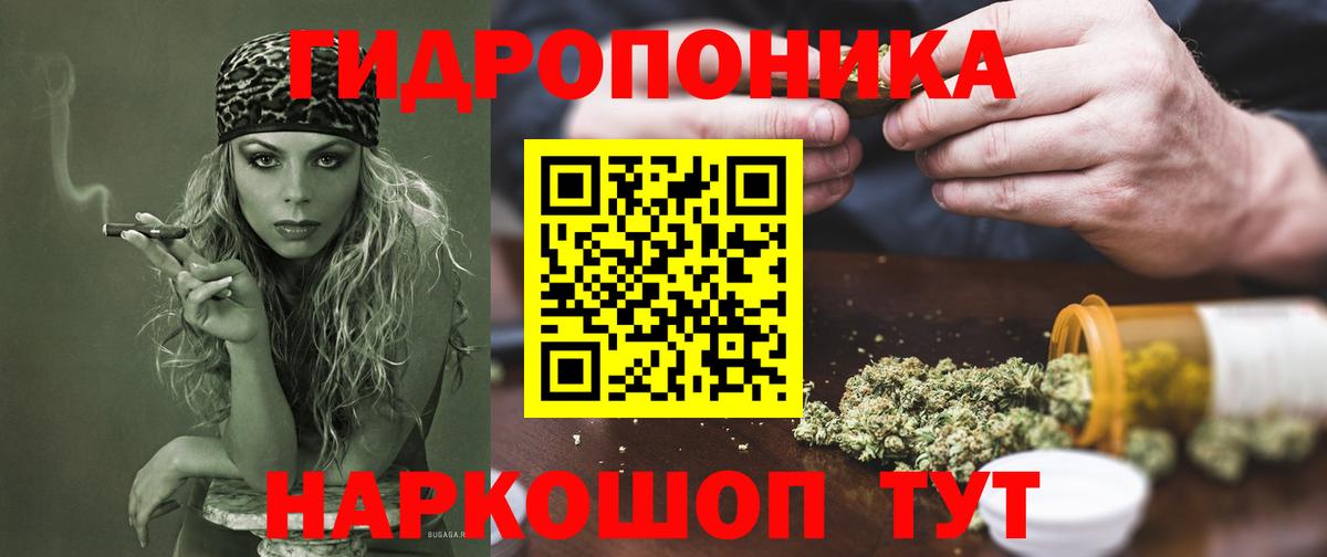 Конопля марихуана  Конопля AK-47  Екатеринбург  Каннабис конопля  Марихуана план  Вход с VPN 